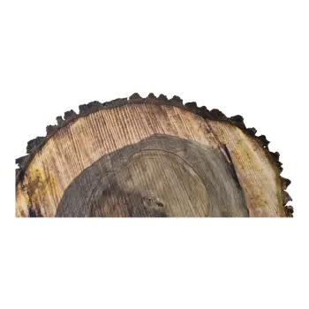 Plaster Orzecha Włoskiego po Suszarni 67x58x9cm