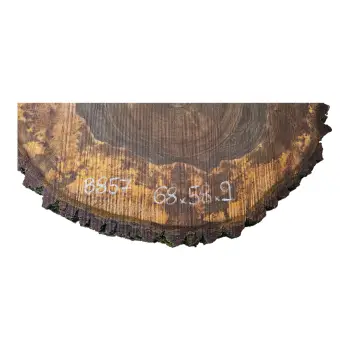 Plaster Orzecha Włoskiego po Suszarni 68x58x9cm