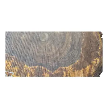 Plaster Orzecha Włoskiego po Suszarni 68x58x9cm