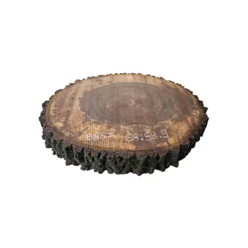 Plaster Orzecha Włoskiego po Suszarni 68x58x9cm