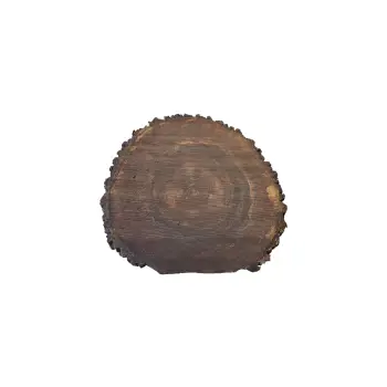 Plaster Orzecha Włoskiego po Suszarni 61x60x7cm