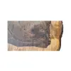 Plaster Orzecha Włoskiego po Suszarni 66x59x8cm