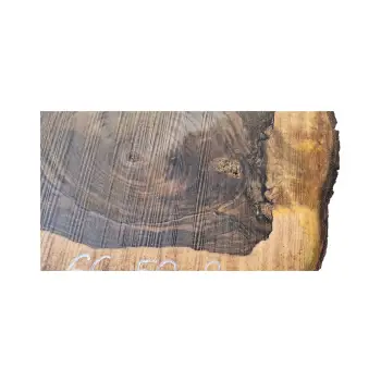 Plaster Orzecha Włoskiego po Suszarni 66x59x8cm