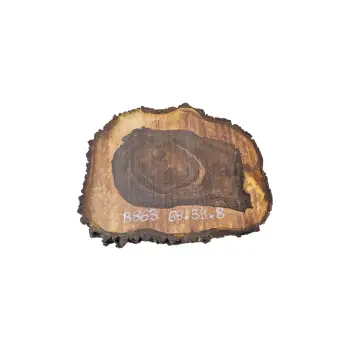 Plaster Orzecha Włoskiego po Suszarni 69x59x8cm