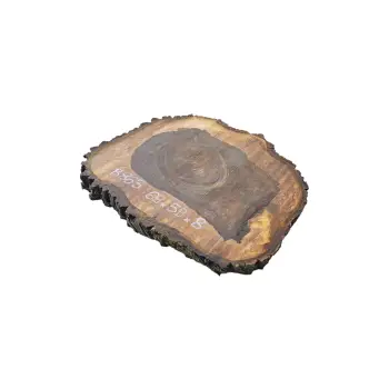 Plaster Orzecha Włoskiego po Suszarni 69x59x8cm