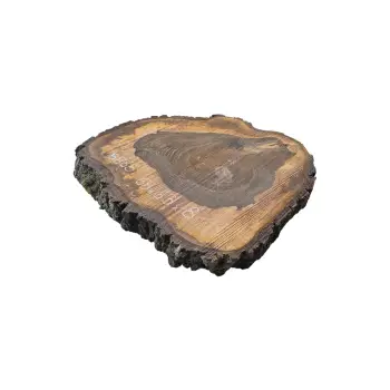 Plaster Orzecha Włoskiego po Suszarni 68x63x8cm