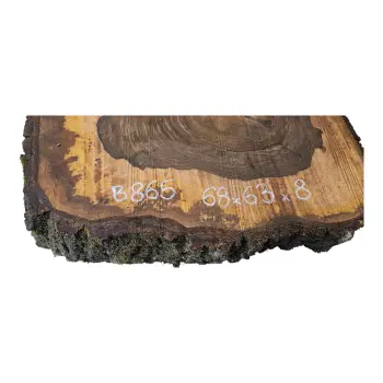 Plaster Orzecha Włoskiego po Suszarni 68x63x8cm