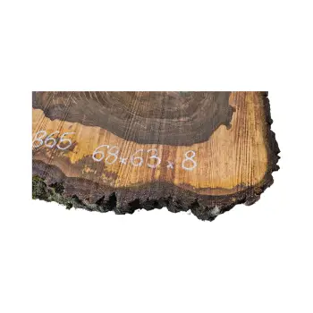 Plaster Orzecha Włoskiego po Suszarni 68x63x8cm