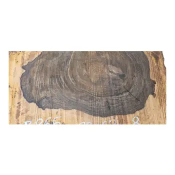 Plaster Orzecha Włoskiego po Suszarni 68x63x8cm