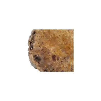 Plaster Topoli z Czeczotą 90x75x8cm