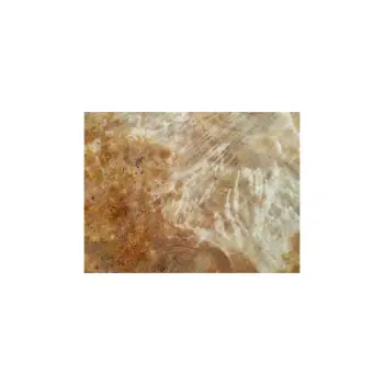 Plaster Topoli z Czeczotą 90x75x8cm