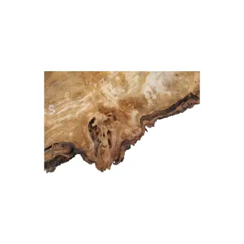 Plaster Topoli z Czeczotą 90x75x8cm