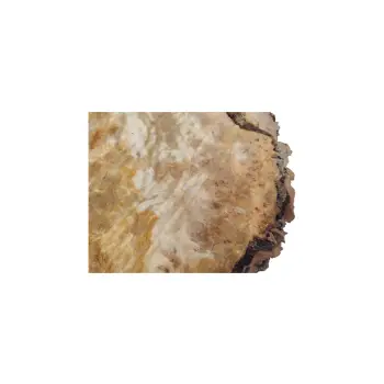 Plaster Topoli z Czeczotą 90x75x8cm
