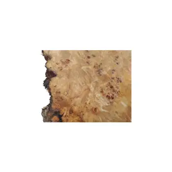 Plaster Topoli z Czeczotą 100x69x9cm