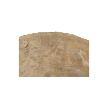 Plaster Topoli z Czeczotą 100x69x9cm