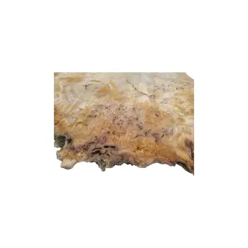 Plaster Topoli z Czeczotą 100x69x9cm