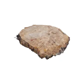 Plaster Topoli z Czeczotą 83x78x9cm