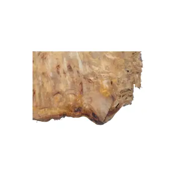 Plaster Topoli z Czeczotą 83x78x9cm