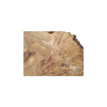 Plaster Topoli z Czeczotą 83x78x9cm
