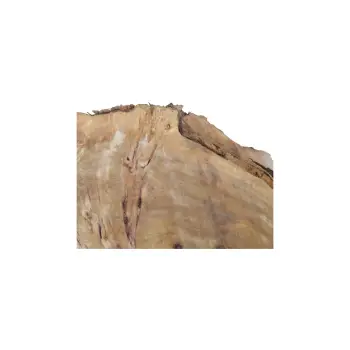 Plaster Topoli z Czeczotą 83x78x9cm
