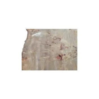 Plaster Topoli z Czeczotą 83x78x9cm