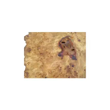 Plaster Topoli z Czeczotą 96x67x8cm