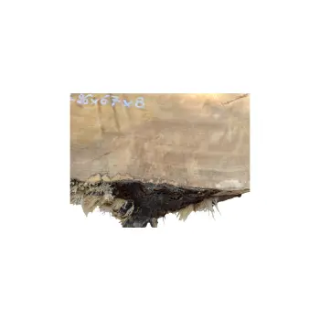 Plaster Topoli z Czeczotą 96x67x8cm