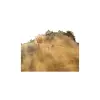 Plaster Topoli z Czeczotą 84x72x9cm
