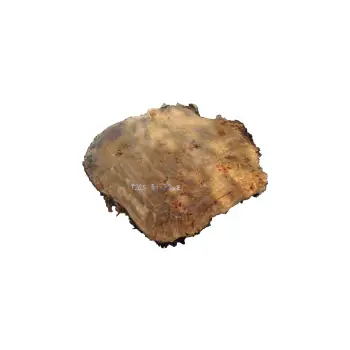 Plaster Topoli z Czeczotą 84x72x9cm