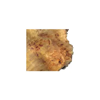 Plaster Topoli z Czeczotą 84x72x9cm