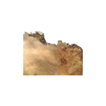 Plaster Topoli z Czeczotą 84x72x9cm