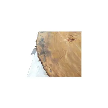 Plaster Topoli z Czeczotą 84x72x9cm