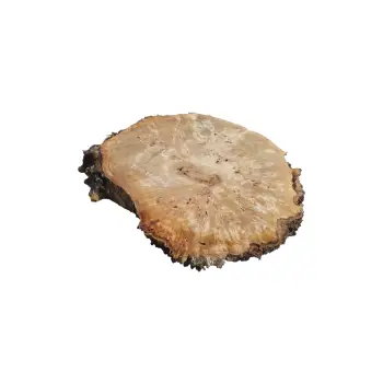 Plaster Topoli z Czeczotą 86x80x9cm