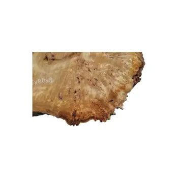 Plaster Topoli z Czeczotą 86x80x9cm