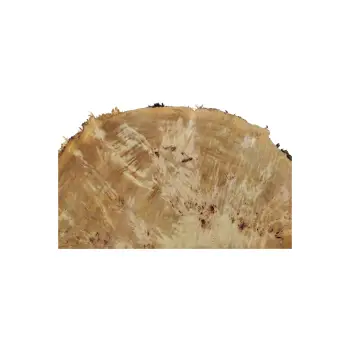 Plaster Topoli z Czeczotą 86x80x9cm