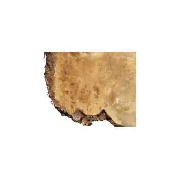 Plaster Topoli z Czeczotą 90x68x7cm