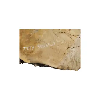 Plaster Topoli z Czeczotą 90x68x7cm