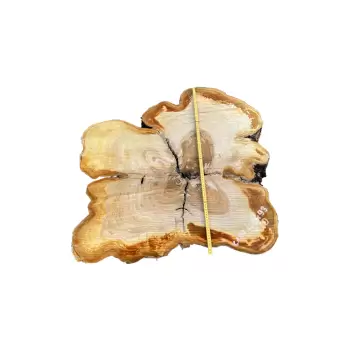 Plaster Czereśni 92x80x10cm