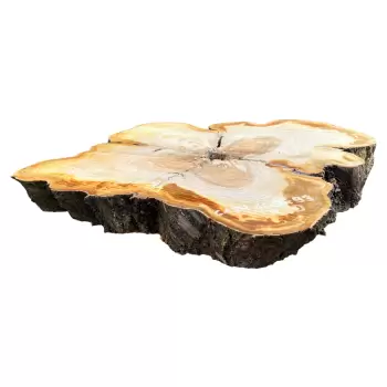 Plaster Czereśni 92x80x10cm