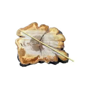 Plaster Czereśni 92x80x10cm