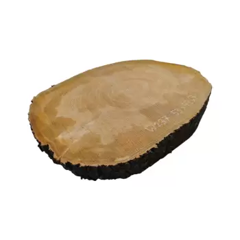 Plaster Czereśni 53x43x7cm