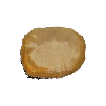 Plaster Czereśni 53x44x6cm