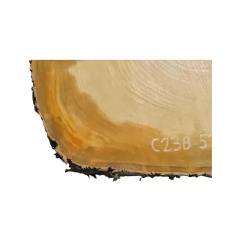 Plaster Czereśni 53x44x6cm