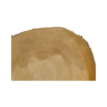 Plaster Czereśni 53x44x6cm