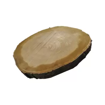 Plaster Czereśni 53x43x5cm