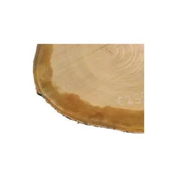 Plaster Czereśni 53x43x5cm