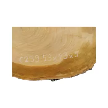 Plaster Czereśni 53x43x5cm