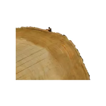 Plaster Czereśni 53x43x5cm