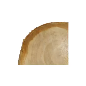 Plaster Czereśni 52x47x6cm