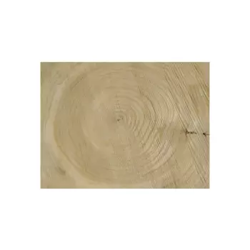 Plaster Czereśni 52x47x6cm